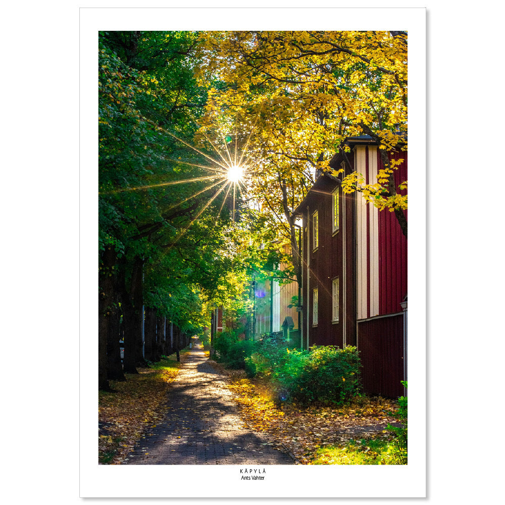 Ants Vahter, Käpylä, A3